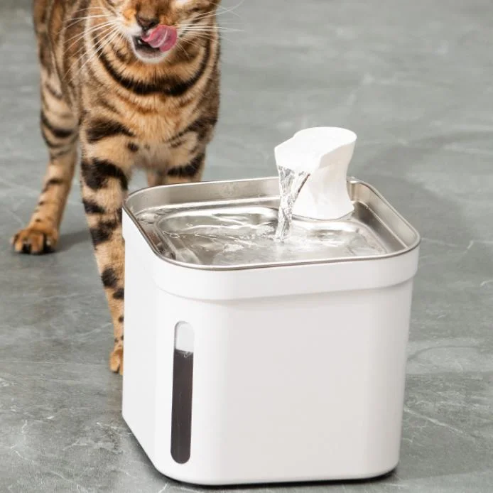 Automatic Pet Water Dispenser with Replacement Filters BPA-Free Water Fountain for Cats