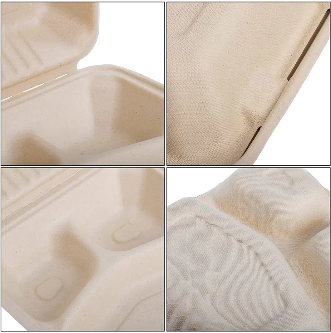 Burger Box Free Eco Friendly Disposable 6 X 6 Inch Sugarcane Bagasse Burger Box Disposable Food Container Made in China