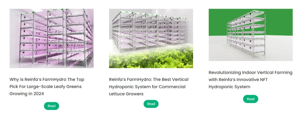 Indoor Vertical Hydroponic Nft Channel System for Leafy Vegetables