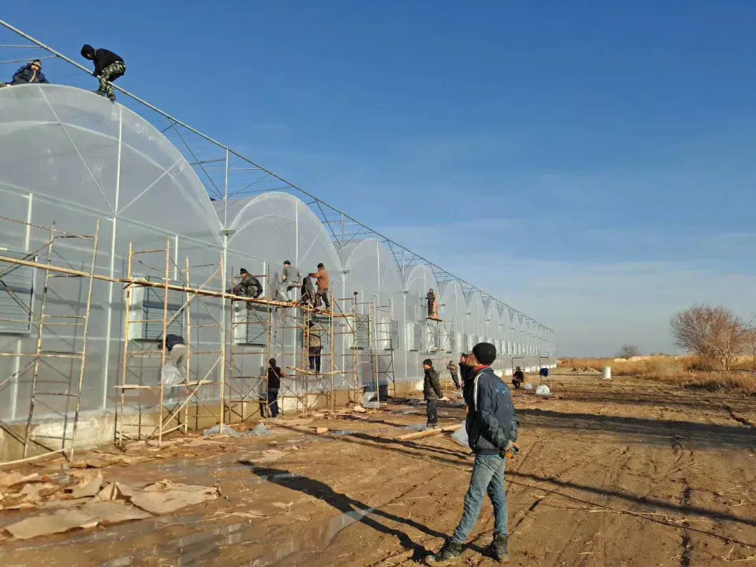 Plastics Cover Mini Greenhouse for Planting Vegetables