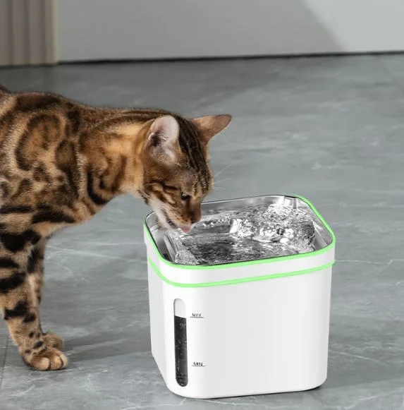 Automatic Pet Water Dispenser with Replacement Filters BPA-Free Water Fountain for Cats