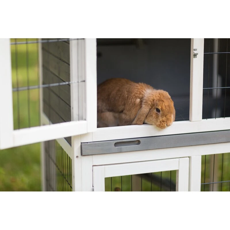 Outdoor Pet House and Rabbit Cage Pet Hutch with Reay to Assemble