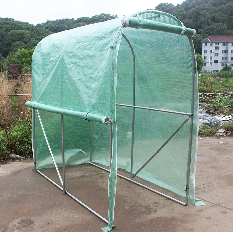 Hot Sale Tomato Household Small Portable PE Covering Garden Greenhouse