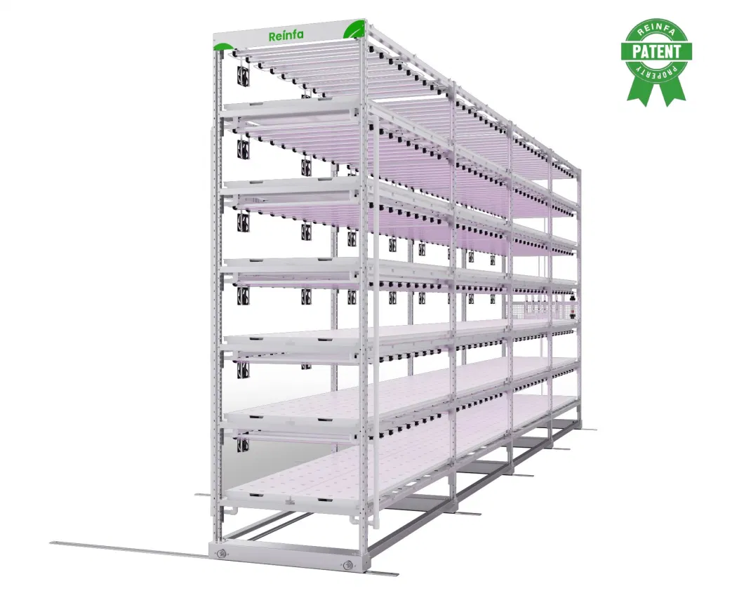 Indoor Vertical Hydroponic Nft Channel System for Leafy Vegetables