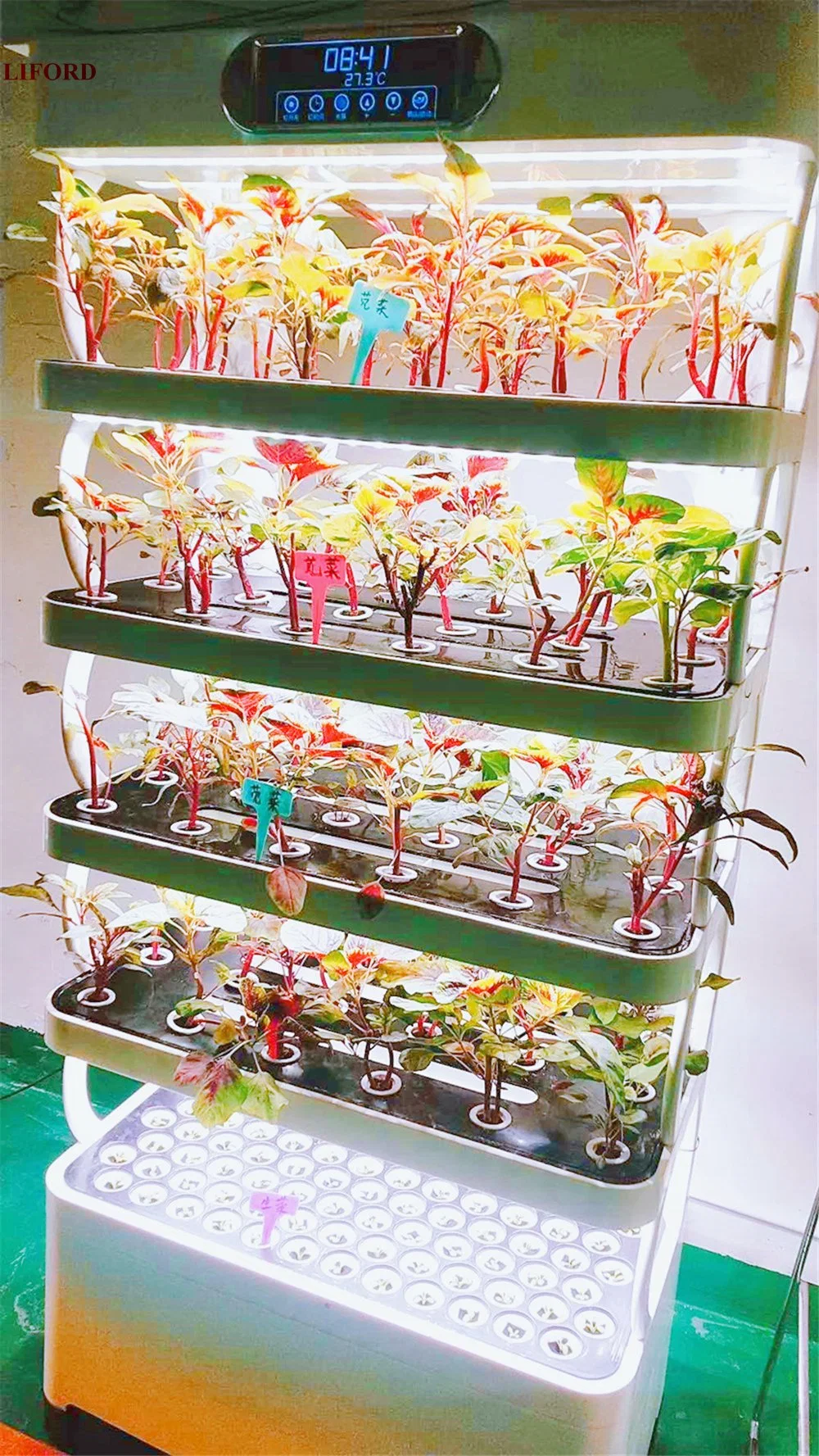 Agricultural Hydroponic System Smart Home Vertical Farming Indoor Hydroponics System for Lettuce