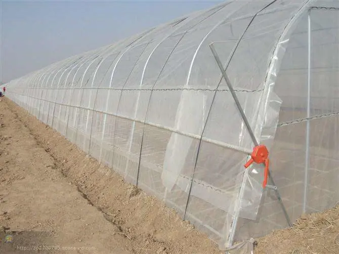 Low Cost Polycarbonate Sheet Commercial Greenhouse for Sale Supply by Chinese Factory