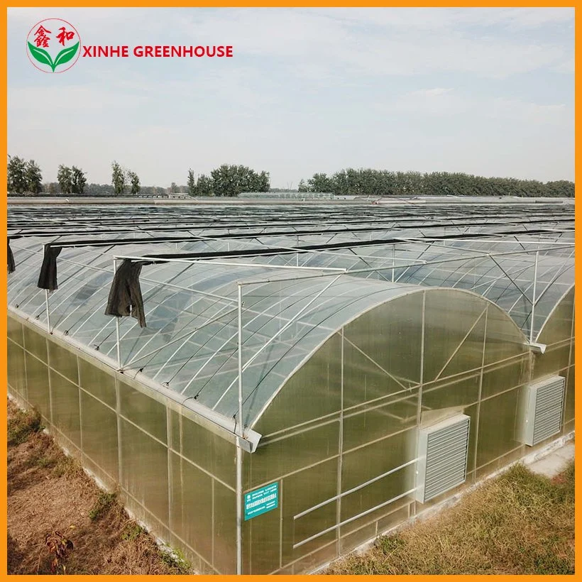 Plastics Cover Mini Greenhouse for Planting Vegetables