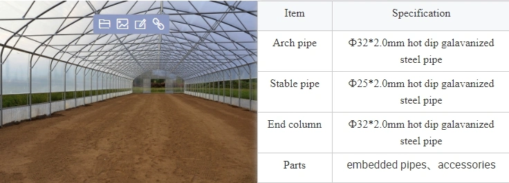 Factory Price Single Span Film Greenhouse Tunnel Mini Tomato Strawberry Hydroponics Green House for Sale