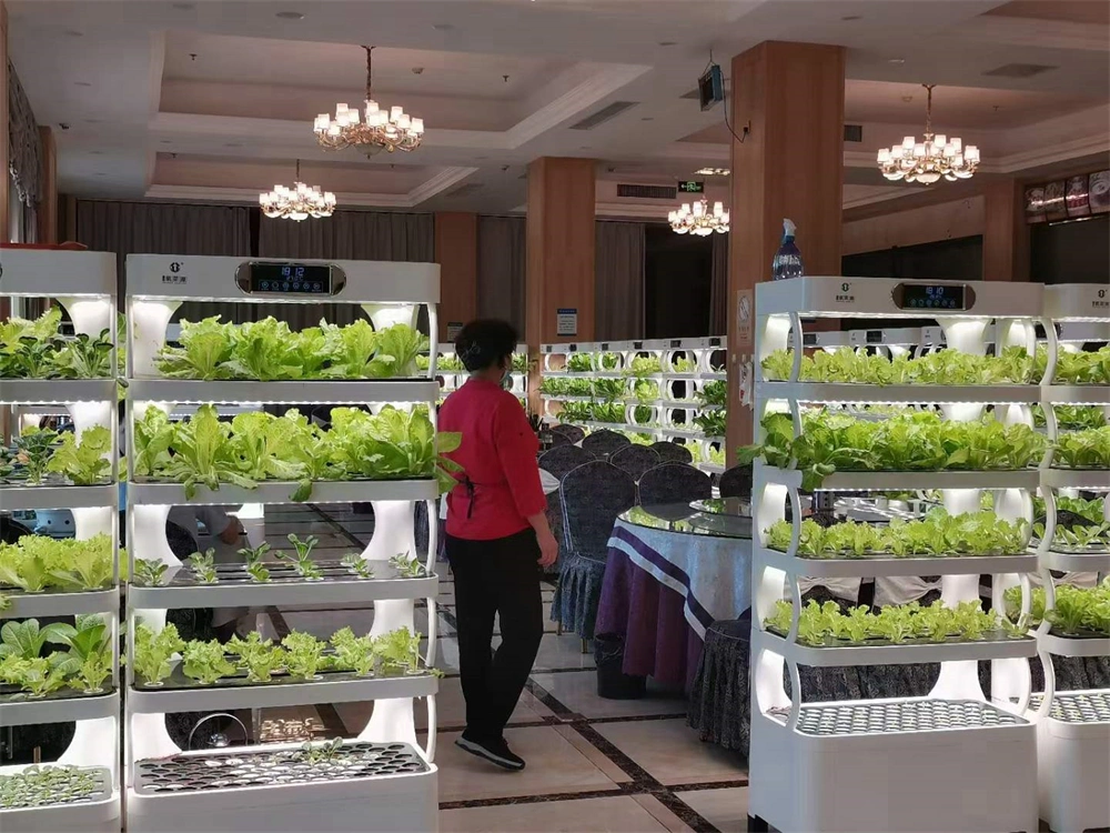 Agricultural Hydroponic System Smart Home Vertical Farming Indoor Hydroponics System for Lettuce