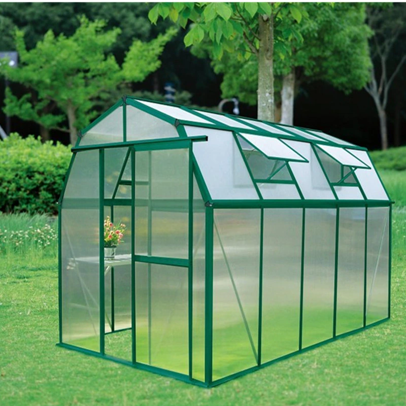 Supplies Walk in Construction Plant Shade Portable Green House Small Scale Greenhouse Single Span Mini Greenhouse Garden