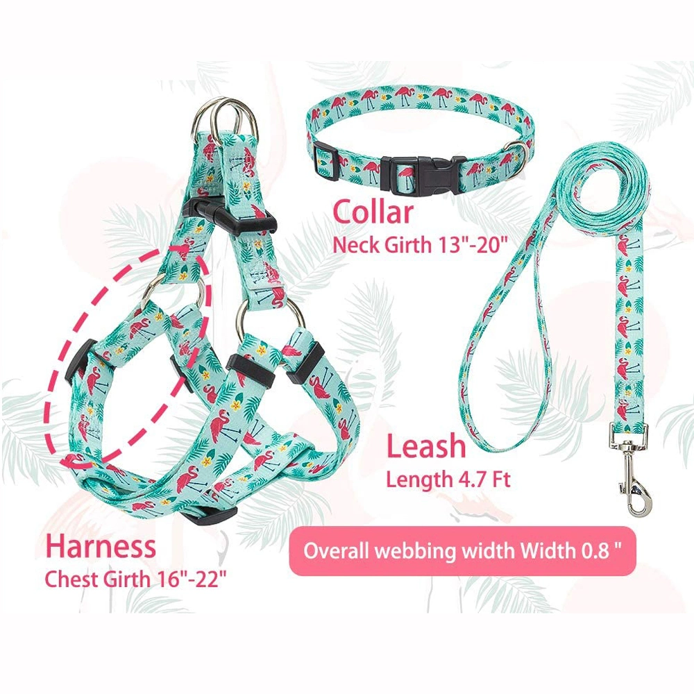Stylish Eco-Friendly rPET Recycled Webbing Sublimation Printing Dog Collar Harness