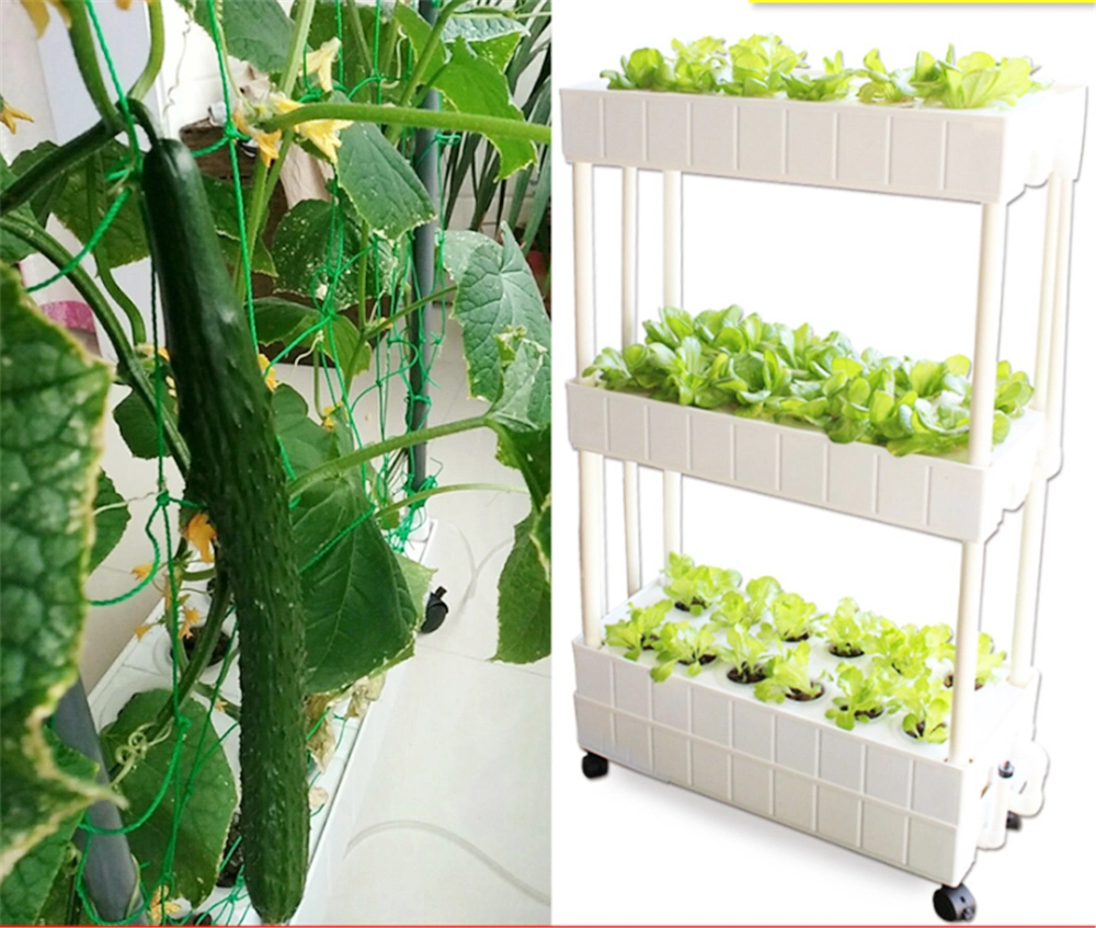 Smart Herb Vegetable Indoor Garden Hydroponics System Kitchen Appliance