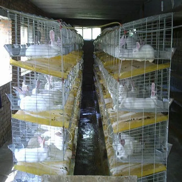 Good Quality Convenient Enclosed Pet Rabbit Cage for Rabbit Crate Outdoor Cage