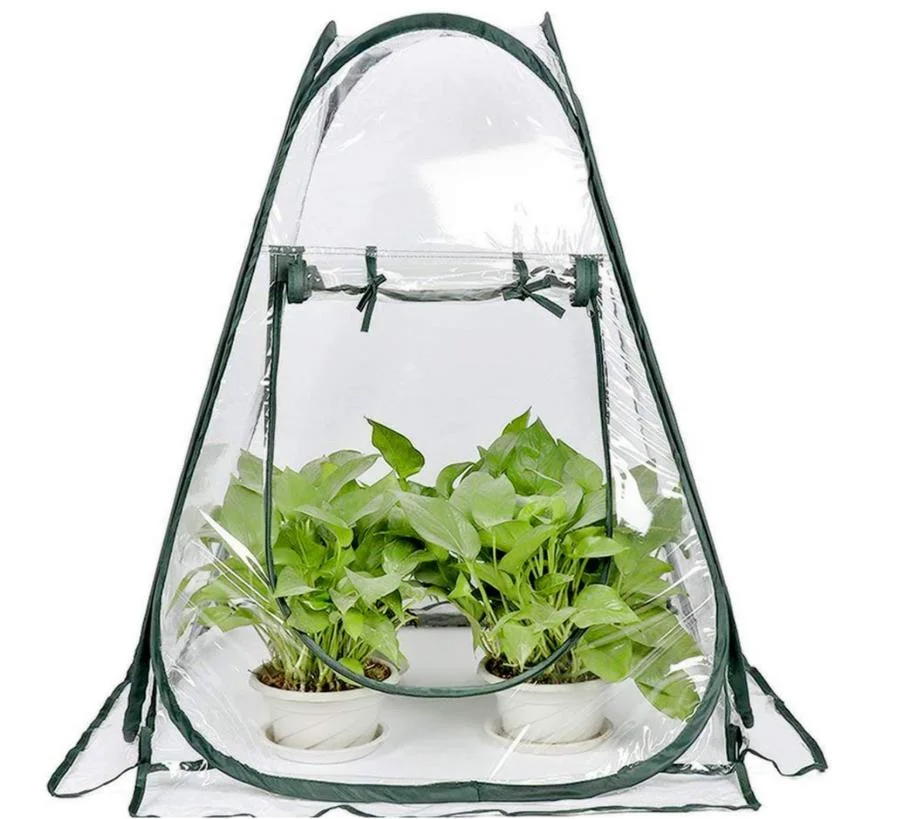 Mini Pop up Greenhouse with Clear Cover Protected Plant Grow House Portable Flower Tent Shelter for Garden Outdoor Backyard