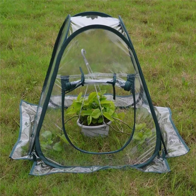 High Quality Transparent PVC Plant Protector Pop up Mini Greenhouse for Flowers