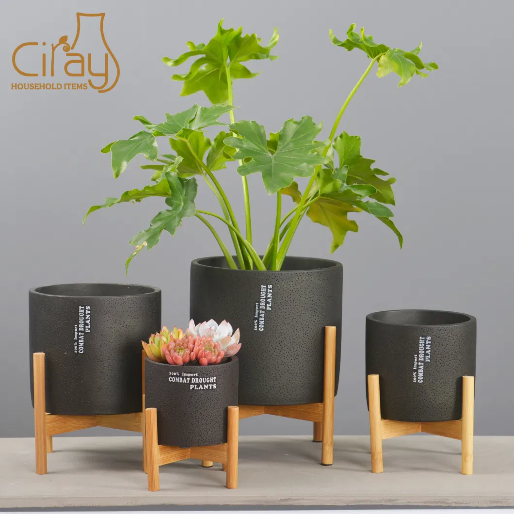 Indoor Concrete Pot with Wooden Plant Stand