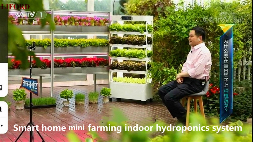 Indoor Hydroponics Growing System Vertical Farming