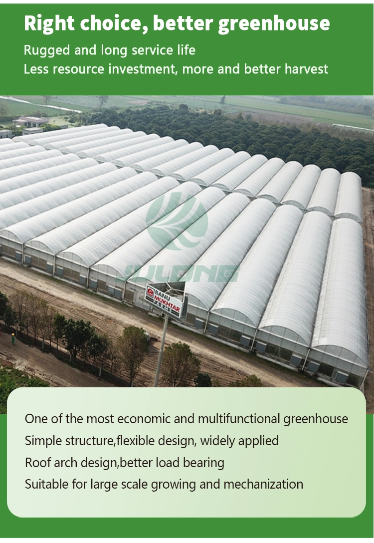Turnkey Project Agricultural Multi Span Film/Polycarbonate/Glass Steel Structure Greenhouse with Hydroponics Irrigation System Used Tomato/Lettuce/Strawberry
