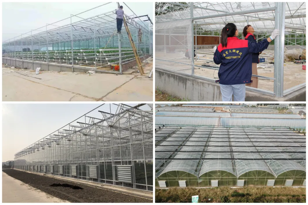 Glass Greenhouse with Self-Propelled Walking Sprayer and Rolling Bench for Vegetable/Flower Seedlings