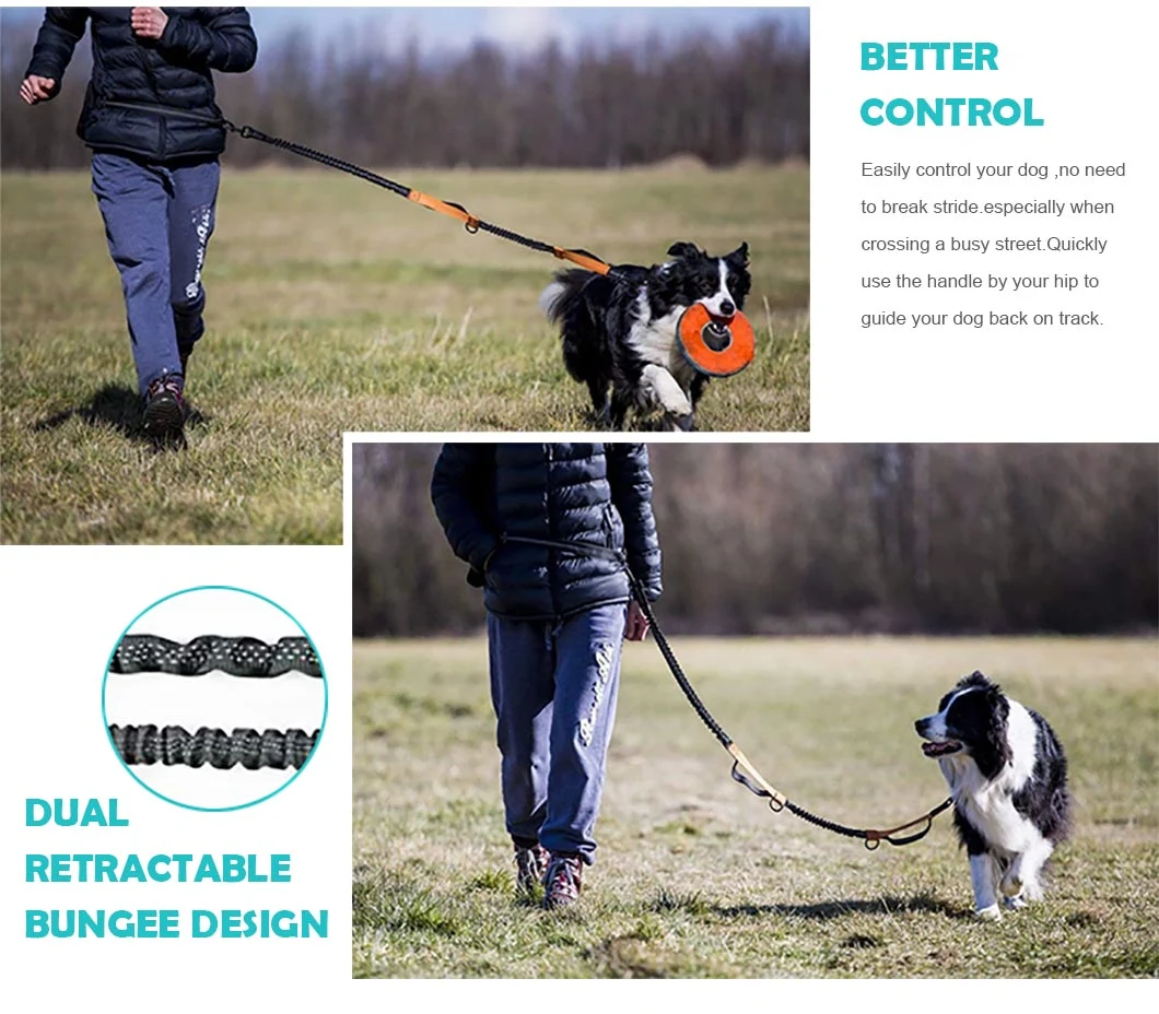 Pet Dog Cat Belt Dog Accessories Adjustable Harness Lead Leash Collar Leash Pet Supplies