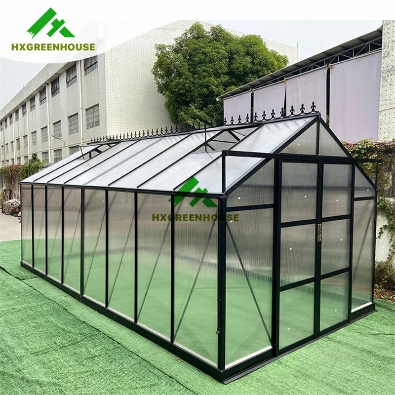 Hot Sale 10mm Polycarbonate Huixin Green Houses Aluminum Frame House Other Garden Greenhouse