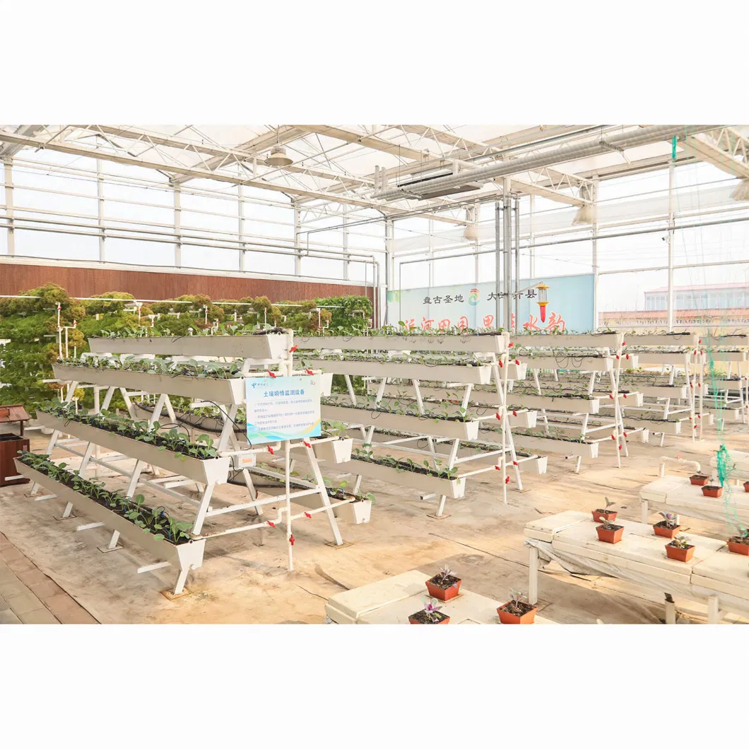 Glass Greenhouse, Intelligent Greenhouse, Flower Shed, Vegetable Galvanized, Sunshine Linkage Greenhouse Manufacturer Supply