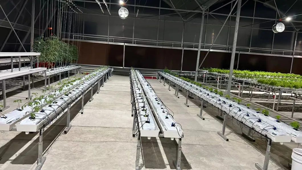 Nft Strawberry Hydroponic System Vertical Growing Rack System Strawberry PVC Trough