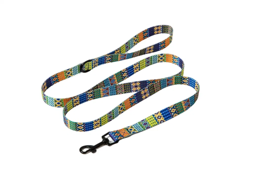 Bohemia Style Adjustable Puppy Cat Walking Collars Dog Collar and Leash Set for Small Medium Large Dogs Pet Supplies