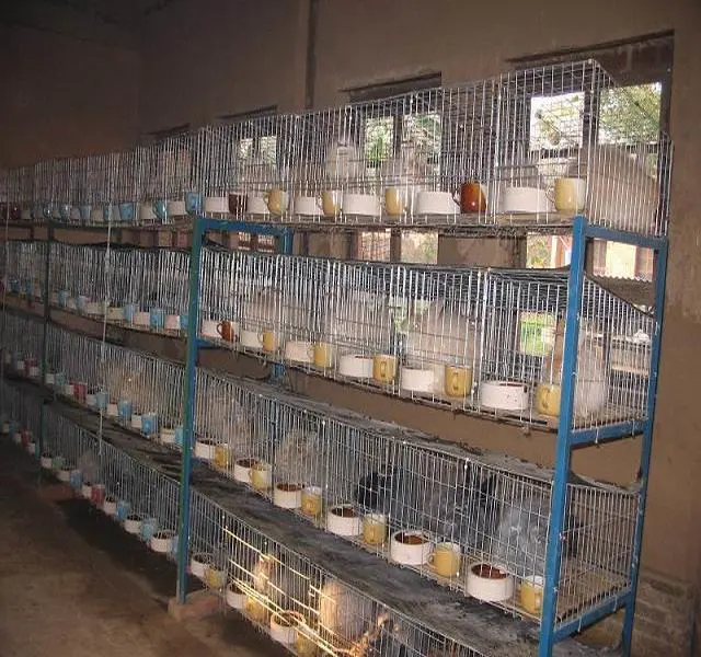 Good Quality Convenient Enclosed Pet Rabbit Cage for Rabbit Crate Outdoor Cage