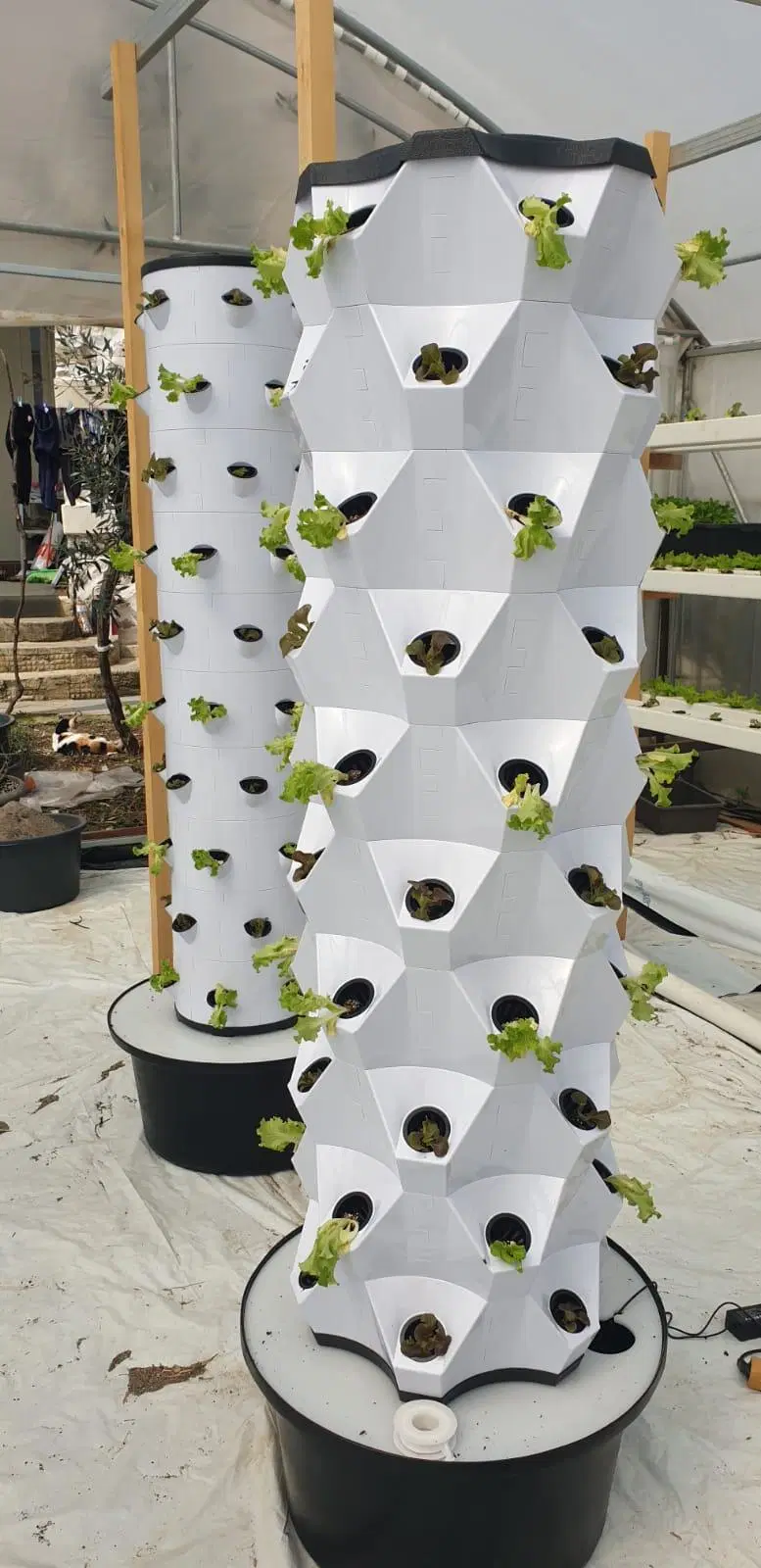 Hydroponics Greenhouse Garden Farm Indoor Plant Vertical Tower Growing Systems