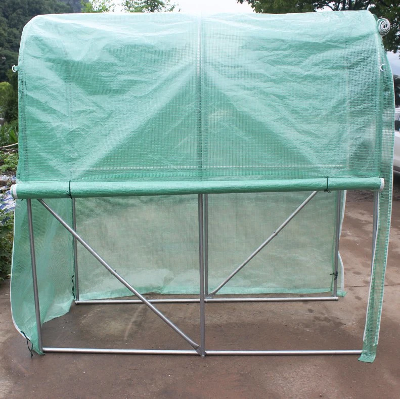 Hot Sale Tomato Household Small Portable PE Covering Garden Greenhouse