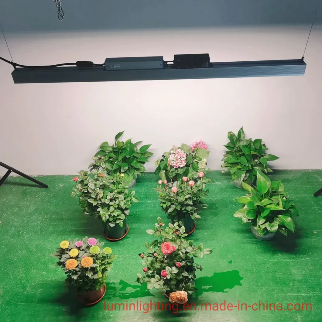 Lumin New Design Full Spectrum 100W LED Plant Grow Light for Greenhouse