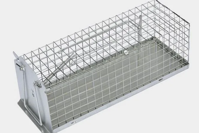 Metal Wire Mesh Rat Trap Cage