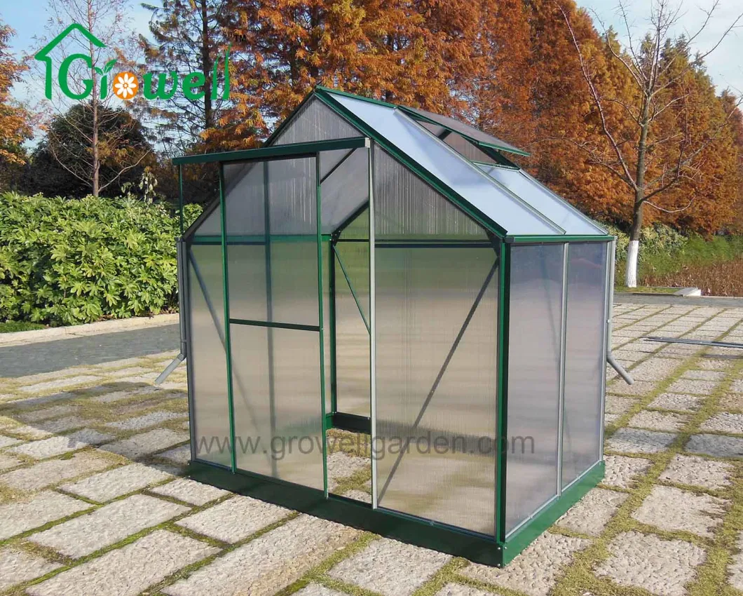 Growell 4mm Economic Wake-in Garden Hobby Greenhouse (SG6) Polycarbonate Panel