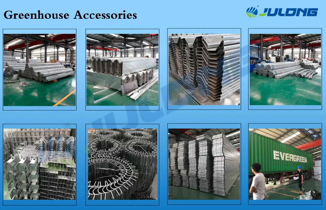 Low Cost Agricultural Multi Span Tunnel Plastic Film Greenhouses with Hydroponic System for Growing Tomato/Peppers/Eggplant/Strawberry/Cucumber