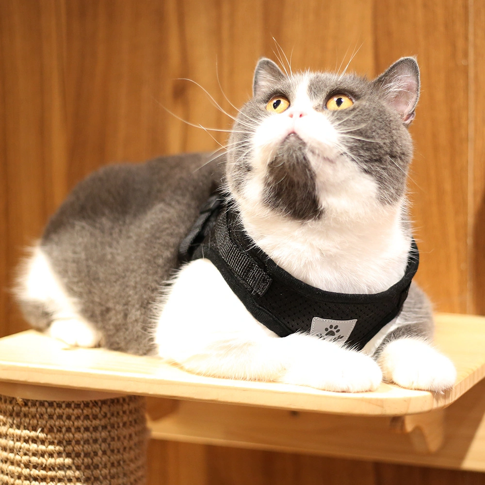 Cat Dog Adjustable Pet Accessories Harness Vest Walking Lead Leash