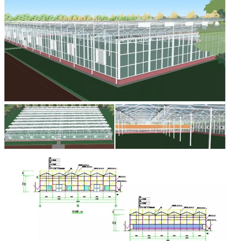 Polycarbonate Sheet Commercial Garden Eco Greenhouse with Hydroponics/ Cocopeat Planting System/ LED Grow Light System Aluminum Alloy for Agriculture/ Poultry