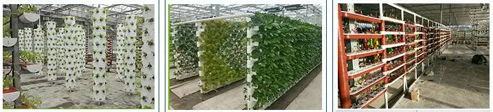 Indoors Vertical Nft Hydroponic System for Hydroponic Growing System