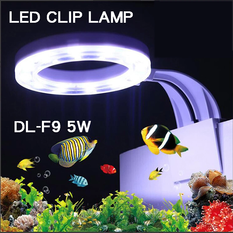 LED Clamp Light 5W for Water Plants and Marine Fishes