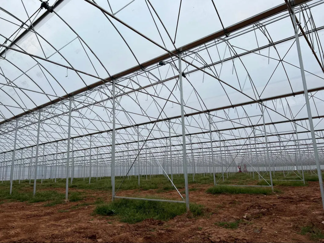 Glass Greenhouse/Commercial Greenhouse/Hydroponic Growing System for Sale