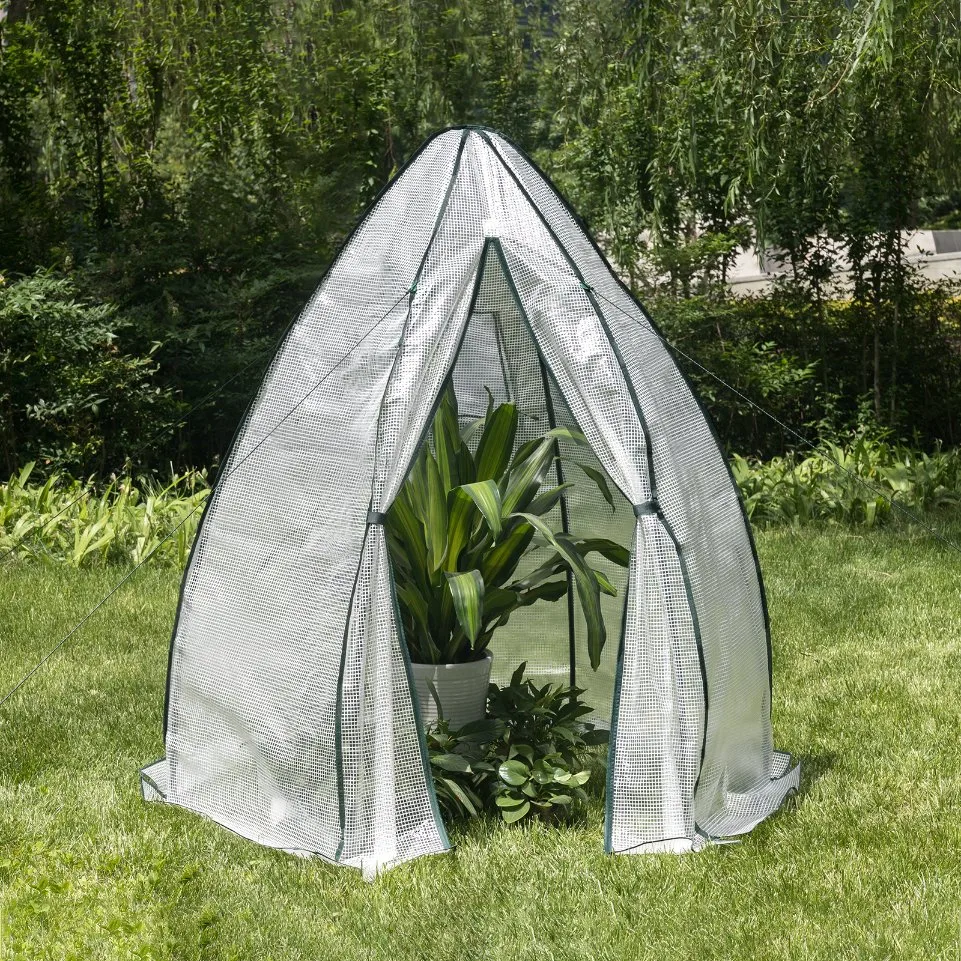 Luxury Conservatory Garden Outdoor Plant House Mini Greenhouse