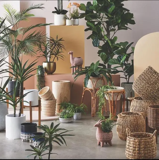 Wooden Wall Plant Pot Outdoor Indoor Great for Succulent Plants
