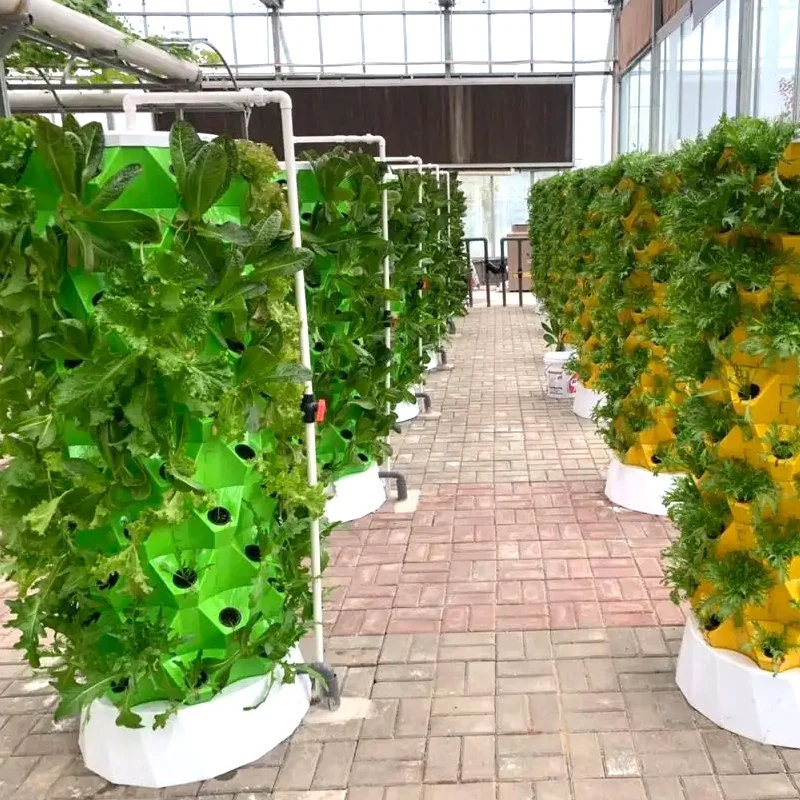 Vertak Outdoor Indoor Mini PVC Plants Growing House Waterproof Cloche Garden Greenhouse