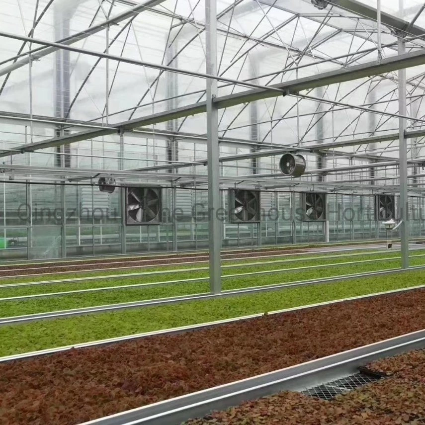 Greenhouse for Hydroponics Indoor Grow Tent Grow Room