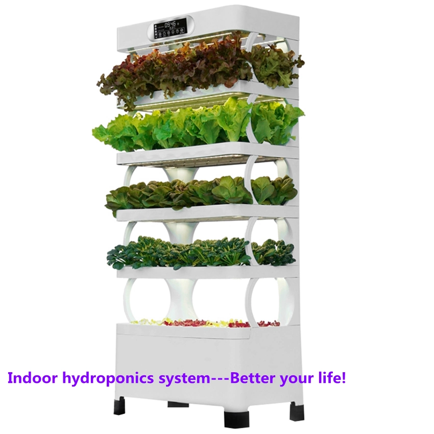 Agricultural Farm Hydroponic Growing System Intelligent Home Tomato Hydroponics System