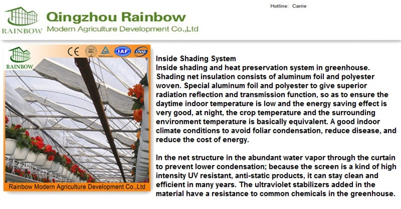 Factory Supply Net Covered Multi-Tunnel Greenhouse