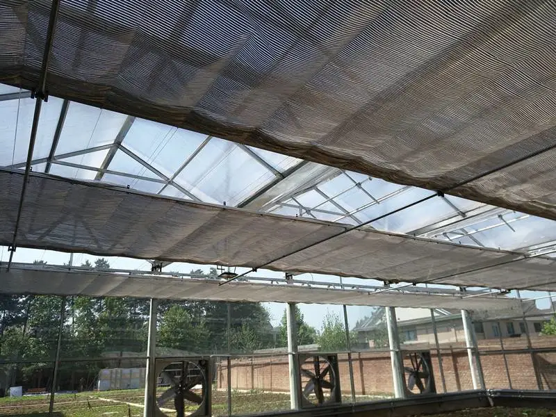 Hot DIP Galvanized Steel Multi Span Glass Greenhouse