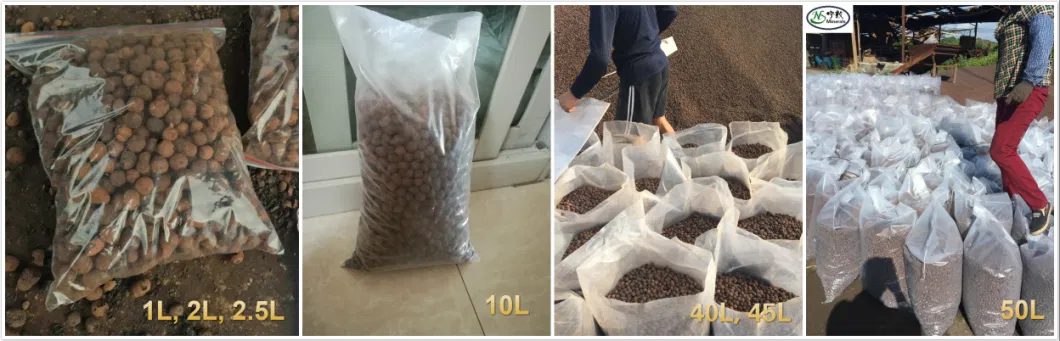 Hydrotonics Hydroton Expanded Clay Pellets for Hydroponic Garden