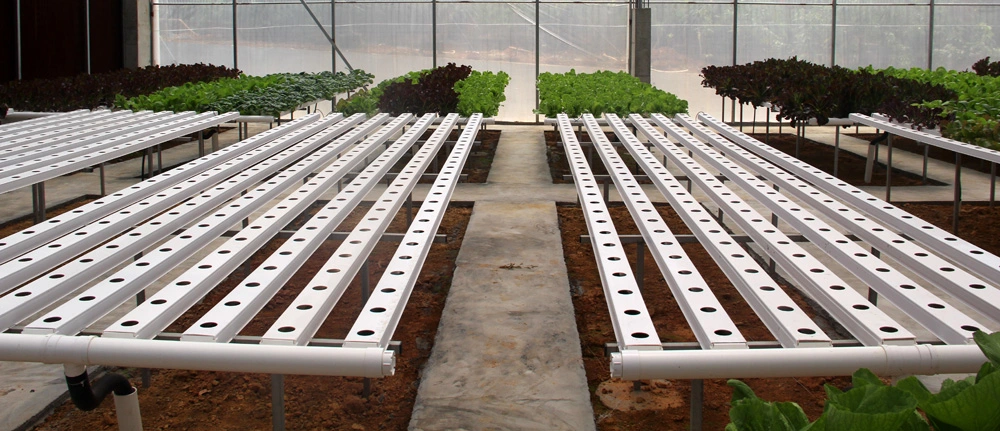 Professional and Customizable Agricultural Vertical Hydroponic Hydroponic Growing Systems