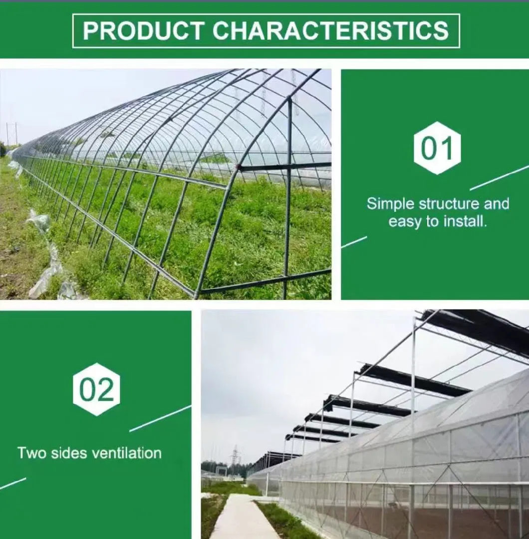 Glass Greenhouse, Intelligent Greenhouse, Flower Shed, Vegetable Galvanized, Sunshine Linkage Greenhouse Manufacturer Supply